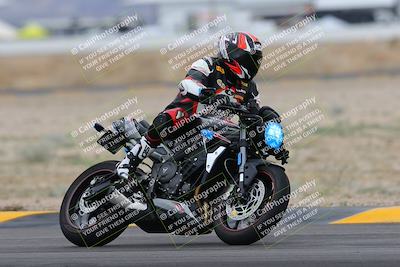 media/Jan-14-2023-SoCal Trackdays (Sat) [[497694156f]]/Turn 4 Set 2 (1030am)/